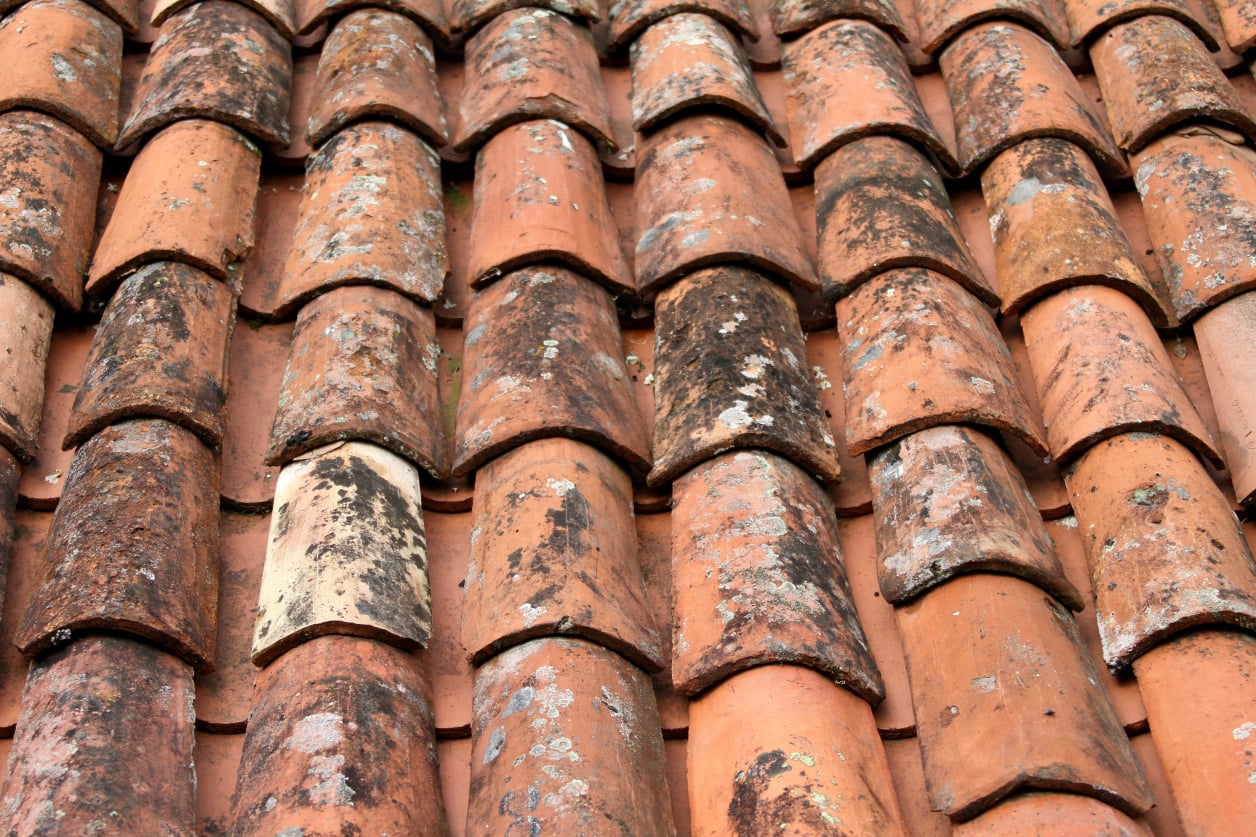 Démoussage de toiture